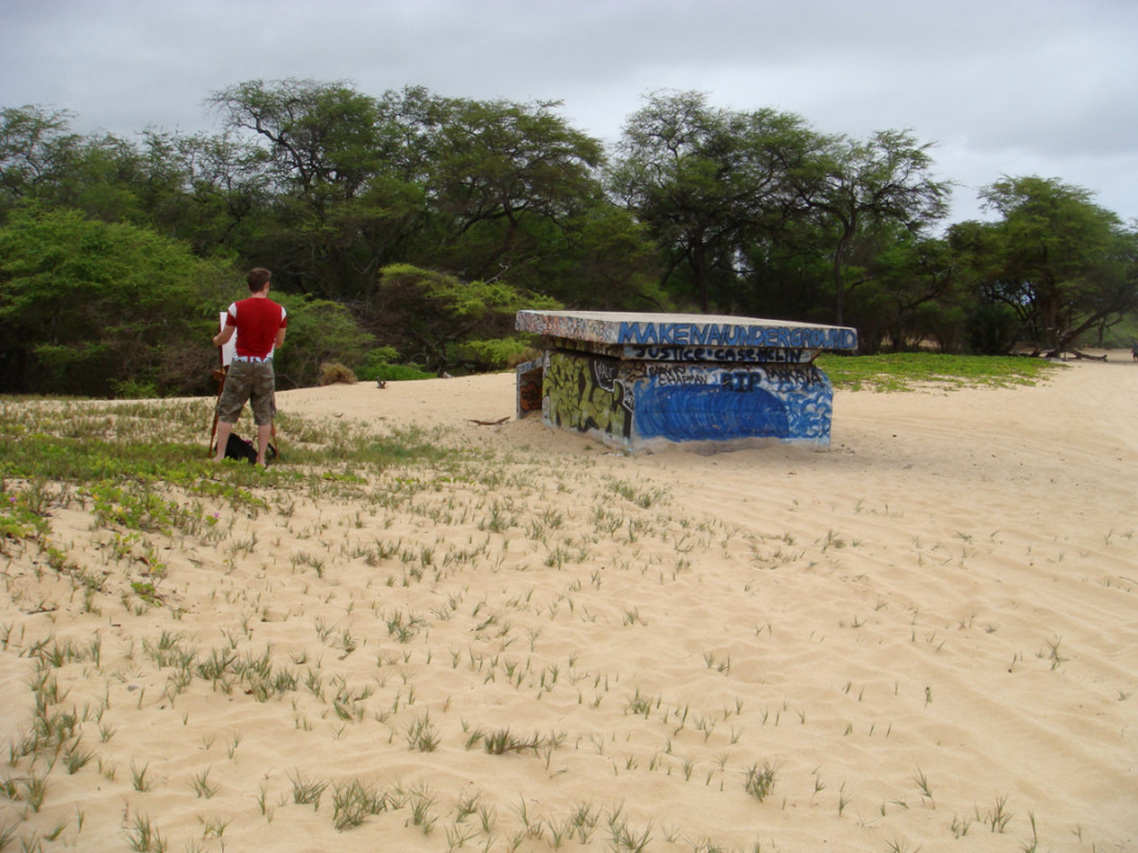 Borbay Painting in Maui