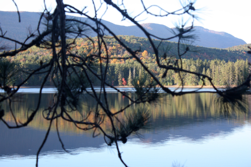 Woodstock Photograph Borbay Woodstock Photograph Borbay