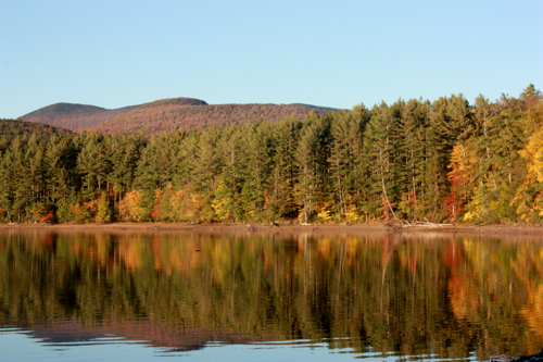 Woodstock Photograph Borbay Woodstock Photograph Borbay
