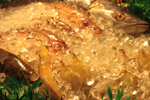 Ko Samui, Koh Phangan and Shanghai Photo by Borbay