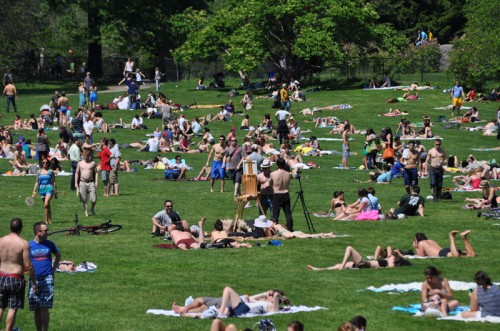 Central Park by Brad Bartolomeo