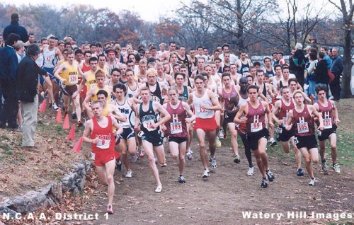 Borbay Boston University