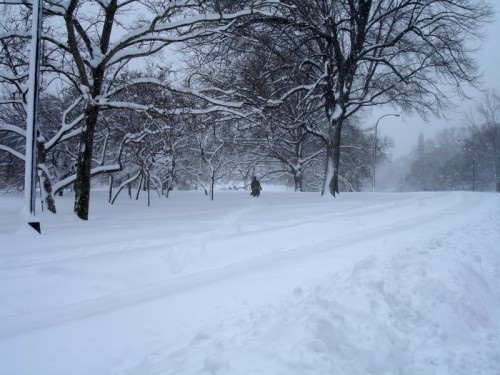 Blizzard NYC 2006 by Borbay