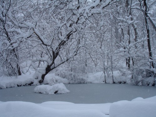 Blizzard NYC 2006 by Borbay