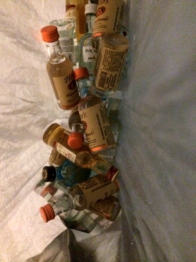Bag of Airline Booze
