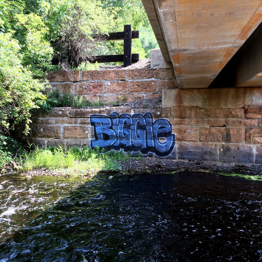 Biggie Graf in Minnetonka MN by Borbay
