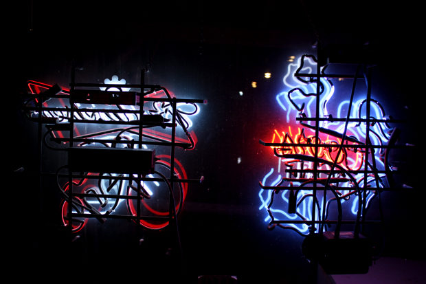 Looking Out © Borbay