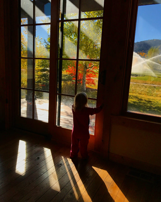 Vega Loves Sprinklers - BORBAY Vega Loves Sprinklers