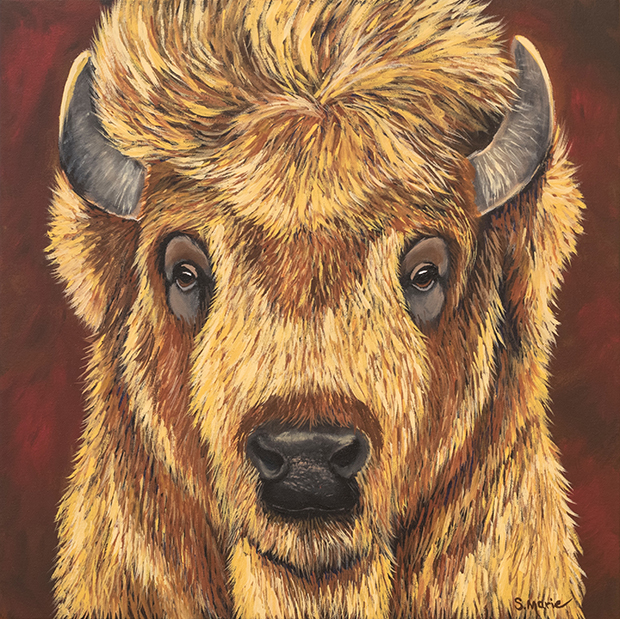 Shannon Marie_buffalo.1.jpg