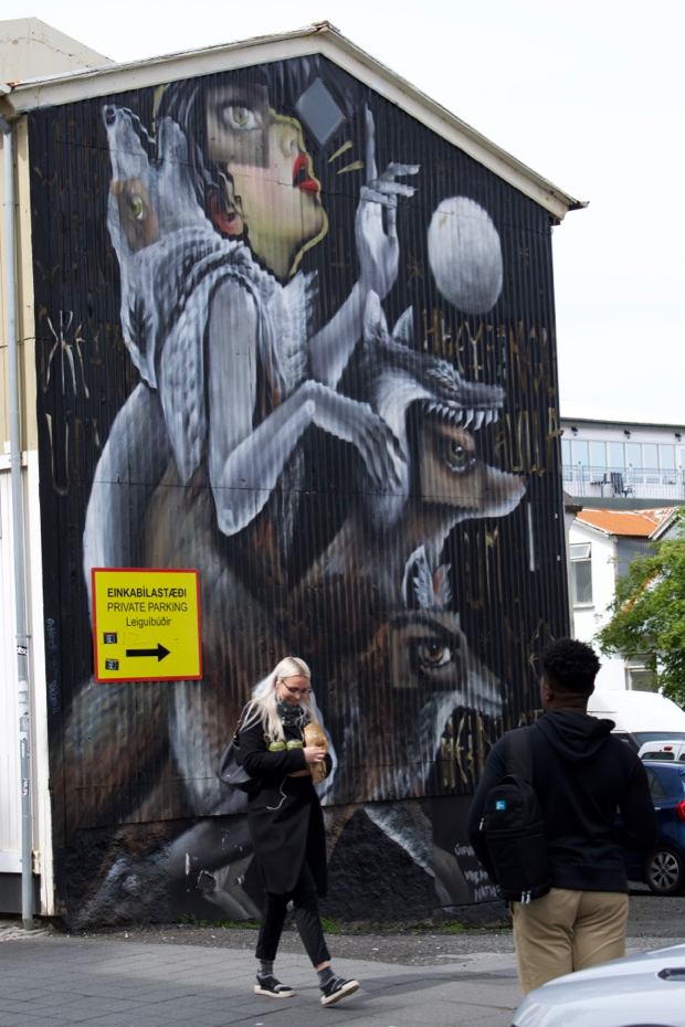 Grafitti in Reykjavik by Borbay - BORBAY Grafitti in Reykjavik by Borbay