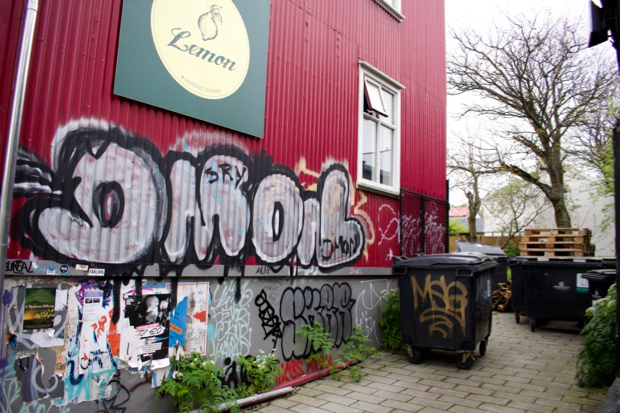 Grafitti in Reykjavik by Borbay - BORBAY Grafitti in Reykjavik by Borbay