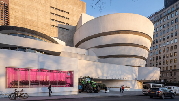 Countryside The Future Courtesy of The Guggenheim